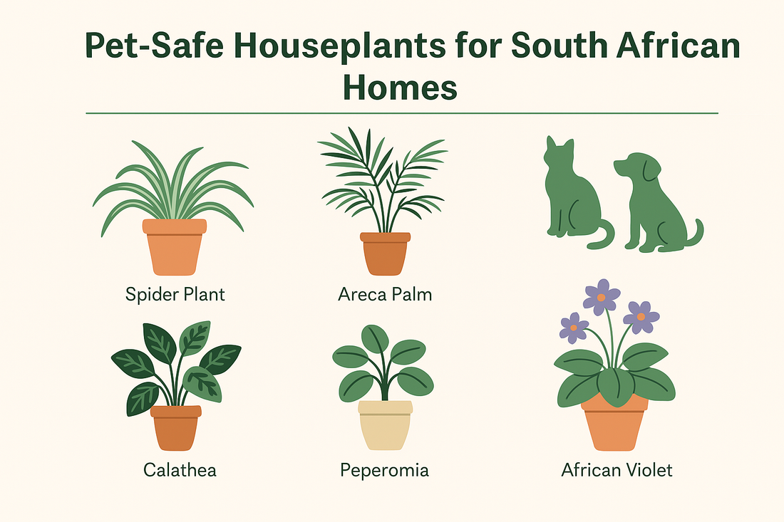 Pet-Safe Houseplants for South African Homes